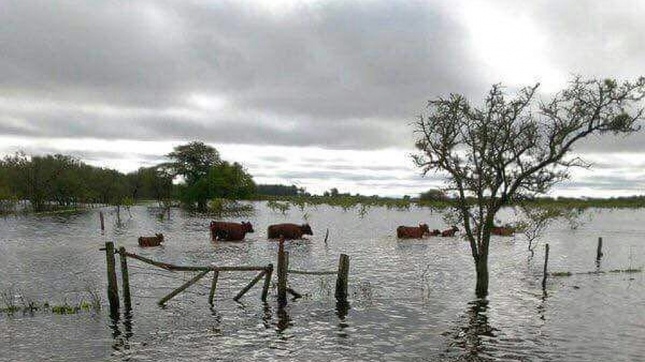 La Nación destinará 135 millones de pesos para socorrer a los productores chaqueños