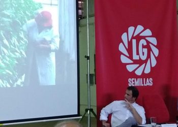Limagrain terminó de absorber Sursem y ya juega con nombre propio en el mercado local de semillas
