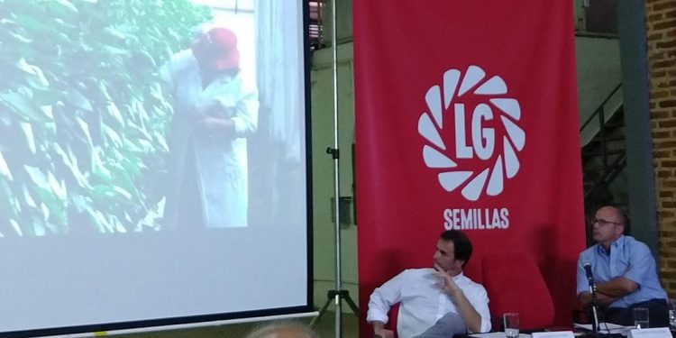 Limagrain terminó de absorber Sursem y ya juega con nombre propio en el mercado local de semillas