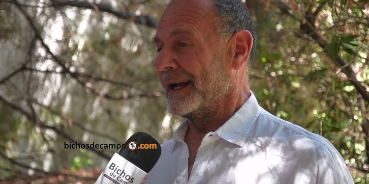 Miguel Gorelik: “El 70% de la carne que China compra es de la Argentina, Brasil y Uruguay”