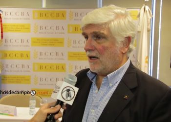 Alberto Morelli, de Maizar: “Argentina tiene 120 destinos para colocar su maíz”