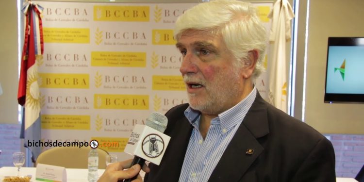 Alberto Morelli, de Maizar: “Argentina tiene 120 destinos para colocar su maíz”
