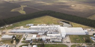Ningunos papa frita: Los fabricantes de Pepsi sacan chapa como “empresa agroindustrial”