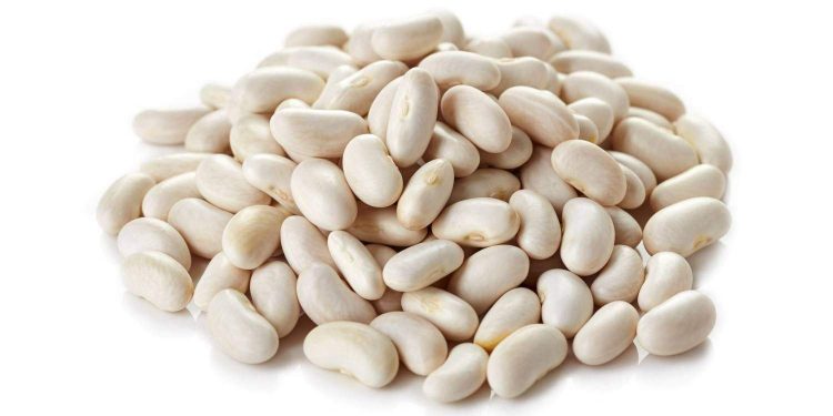 Las legumbres son “semillas poderosas”, pero no logran mover el consumo en la Argentina