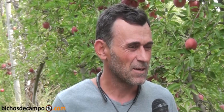 Habla el líder del “frutazo” a Plaza de Mayo: “Somos productores familiares, pero nos tratan como a empresas millonarias”