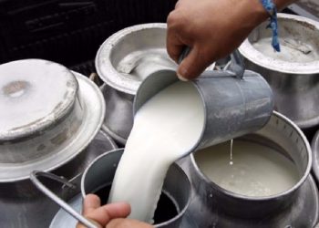 Subieron los precios de la leche y ahora sí se puede esperar que mejore la producción