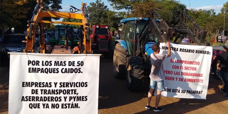 Javier Silvestri: “Los abogados le sacaron 200 millones de pesos al sector citrícola en juicios”