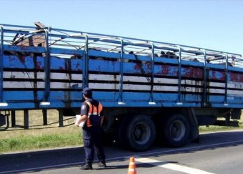 El turno del  REC sanitario: Los DT-e deberán “cerrarse” cuando los animales lleguen al frigorífico