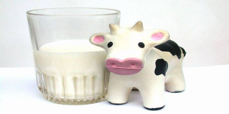 El consumo de leche cayó a su nivel más bajo en 15 años