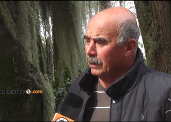 Los pergaminos del glifosato: Desde la cámara de agroquímicos piden una ley nacional sobre aplicaciones