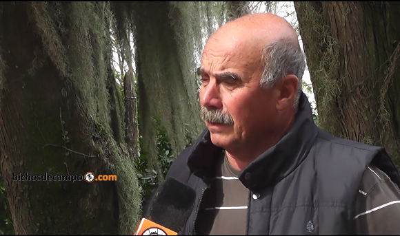 Los pergaminos del glifosato: Desde la cámara de agroquímicos piden una ley nacional sobre aplicaciones