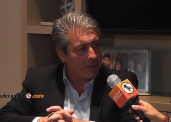 Los pergaminos del glifosato: Habla el intendente de una ciudad icónica para la agricultura pampeana