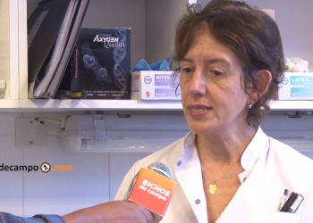 Marcela Martínez: “Todavía no hay forma de controlar el doping genético en equinos y está prohibido”