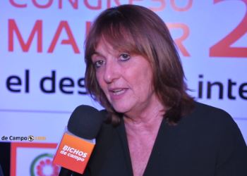 Alicia Ciciliani: “Una nueva ley de biocombustibles debería estar en la agenda de todos los candidatos”