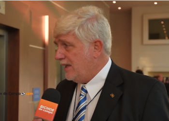 Alberto Morelli, de Maizar, habla del gran desafío de esa cadena: Generar mercados para el cosechón que viene