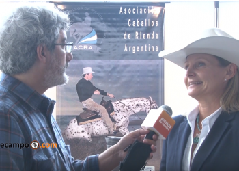 Rienda Argentina: Una disciplina que agrupa a casi todas las razas de caballo