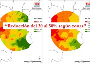 El INTA actualizó el mapa de fertilidad de los suelos y fue lapidario: La caída en materia orgánica llega hasta 50%