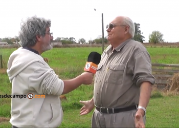 Los pergaminos del glifosato: Habla uno de los productores imputados