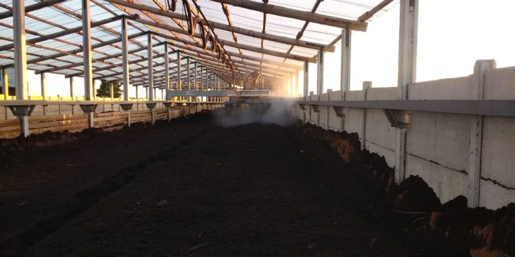 Un santafesino logró producir un ‘compost animal’ a partir de las heces de sus cerdos