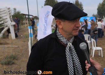 Esteban Perfumo, ganadero mendocino: “Aquí la carga animal es de 15 a 17 hectáreas por vaca”