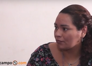 Los pergaminos del glifosato:  Habla la vecina que presentó la denuncia