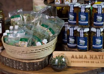 Sabores y saberes: Alma Nativa, una red de pequeños productores que se unieron para vender a Buenos Aires