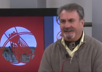 Recomiendan analizar los granos para evitar alimentar al ganado con micotoxinas