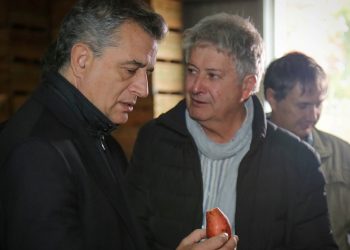 El rol del INTA: “Somos los únicos virólogos de batata del país”, nos contó Liliana