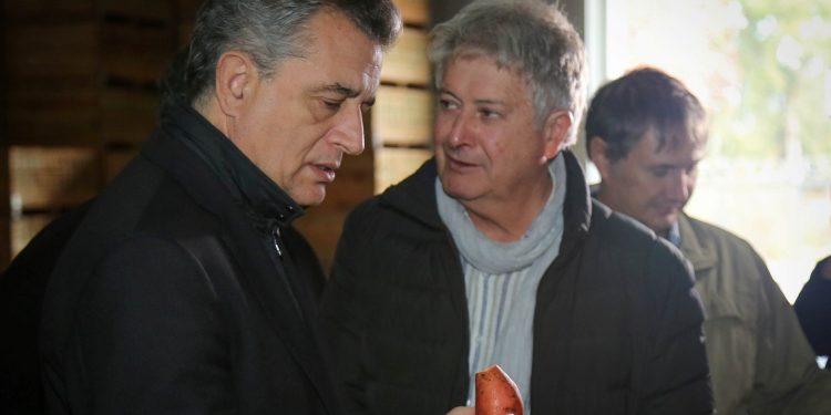 El rol del INTA: “Somos los únicos virólogos de batata del país”, nos contó Liliana