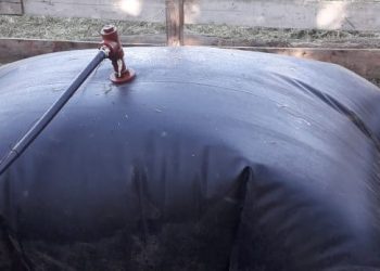 Producir biogás con estiércol ya es un hecho en Argentina, a partir de un biodigestor flexible