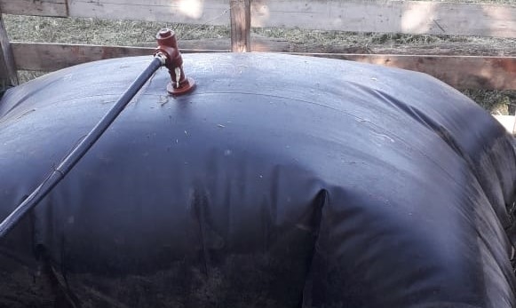 Producir biogás con estiércol ya es un hecho en Argentina, a partir de un biodigestor flexible