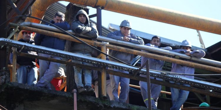 Ola de amparos contra el plan de Lopetegui para congelar el precio del bioetanol