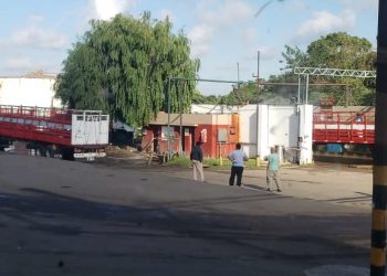 No todo brilla en los frigoríficos exportadores: En la trastienda reclaman mejor trato a los jauleros