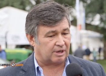 Daniel Pelegrina: “Nos está pasando en muchos casos que tenemos la demanda y no tenemos la producción”