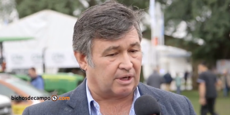 Daniel Pelegrina: “Nos está pasando en muchos casos que tenemos la demanda y no tenemos la producción”