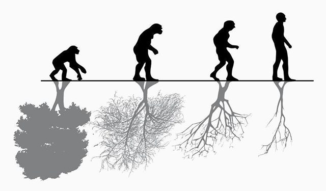 Una tontería: La actividad humana pone en peligro de extinción a cerca de 1 millón de especies
