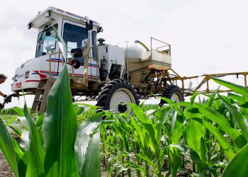 ¡Epa!: La autoridad regulatoria de Estados Unidos volvió a evaluar el glifosato y dio OK