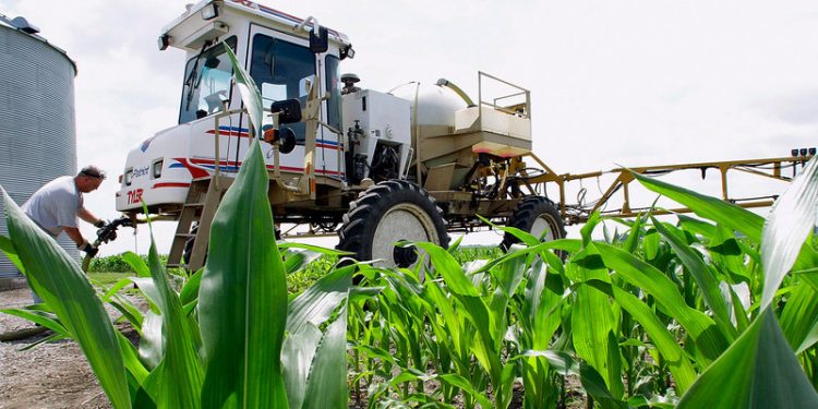 ¡Epa!: La autoridad regulatoria de Estados Unidos volvió a evaluar el glifosato y dio OK