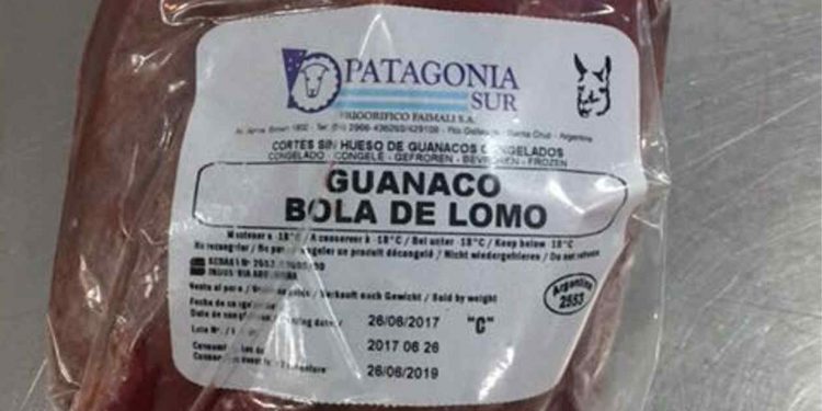 Ahora que las carnes se exportan y suben de precio… Se vienen los guanacos