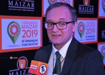 Gustavo Idígoras: “El mercado internacional podría absorber dos cosechas de maíz sin bajar los precios”