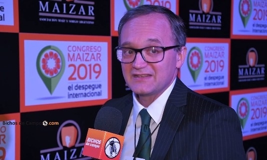 Gustavo Idígoras: “El mercado internacional podría absorber dos cosechas de maíz sin bajar los precios”