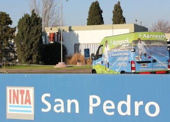 San Pedro también tiene un proyecto para comenzar a producir cannabis y su aceite medicinal