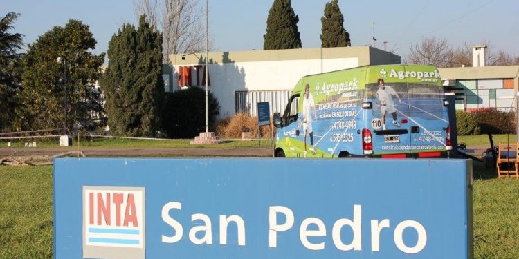 San Pedro también tiene un proyecto para comenzar a producir cannabis y su aceite medicinal