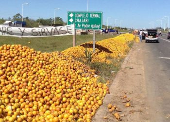 Sancionan la ley de emergencia económica para el sector citrícola