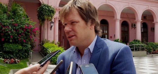 Un año después, Revista Noticias se hace eco de una nota de Bichos sobre el director de Forestación