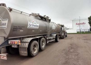 Crónicas robadas: Saputo desplaza a La Serenísima como la empresa de mayor recibo de leche del país