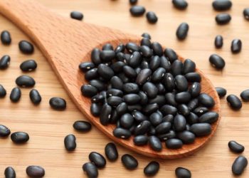 En Tucumán se cultiva la caña de azúcar, la soja… y también el poroto