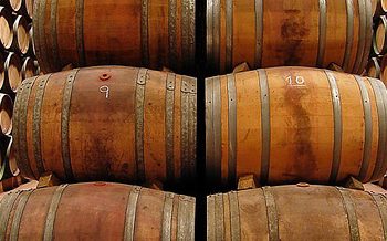 Los enólogos coinciden que la vendimia 2019 fue una de las mejores en 20 años para elaborar vinos de calidad