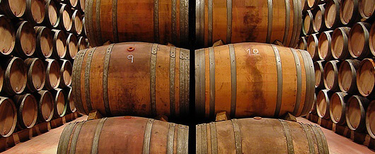 Los enólogos coinciden que la vendimia 2019 fue una de las mejores en 20 años para elaborar vinos de calidad