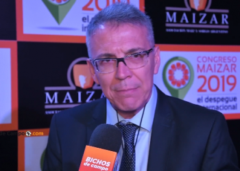 Julio Calzada: “Los productores necesitan financiamiento a tasas razonables para agregar valor al maíz”